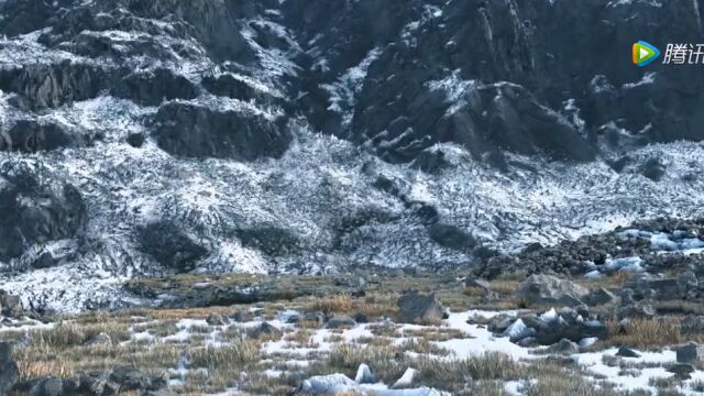 西藏雪域高原美景纯洁温暖!