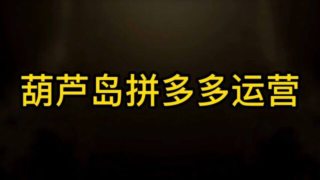 葫芦岛绥中兴城建昌拼多多店铺开店代运营公司日常运营方法#拼多多运营