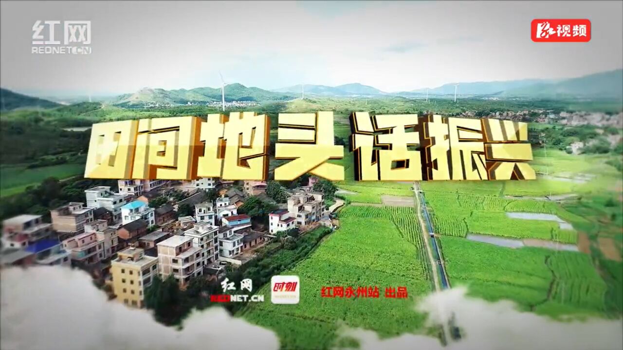 田间地头话振兴丨祁阳:让老百姓在家门口吃上“旅游饭” 奔上“小康路”