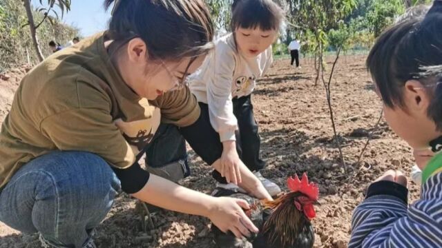 “秋韵童心,乐享丰收”安阳市北关区第三幼儿园北花村丰收节活动