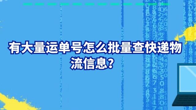 有大量运单号怎么批量查快递物流信息