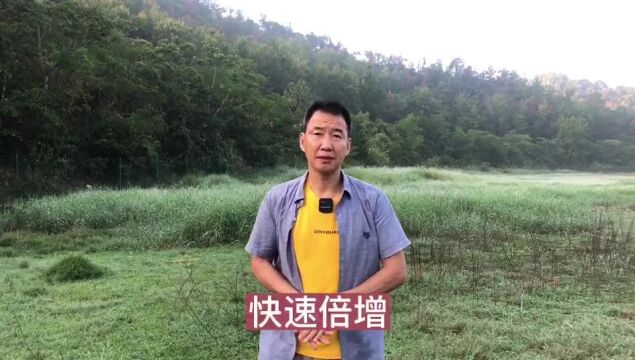 五把钥匙让你的细胞企业快速倍增以终为始思维模式行为模式目标设定复制倍增