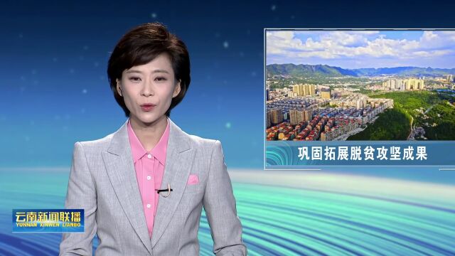 领航中国ⷤ𚑥—篇|镇雄县:巩固脱贫成果 打牢产业基础 接续乡村振兴