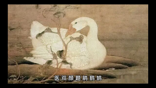 属狗起名改名忌用字汇总七八