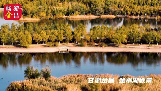 金昌秋韵丨相约金水湖国家湿地公园,邂逅“醉美”深秋