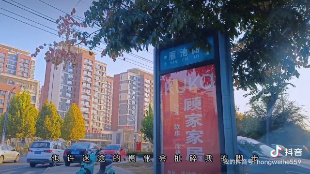 成武:雁池路