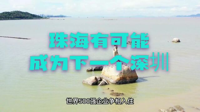 珠海有可能成为下一个深圳