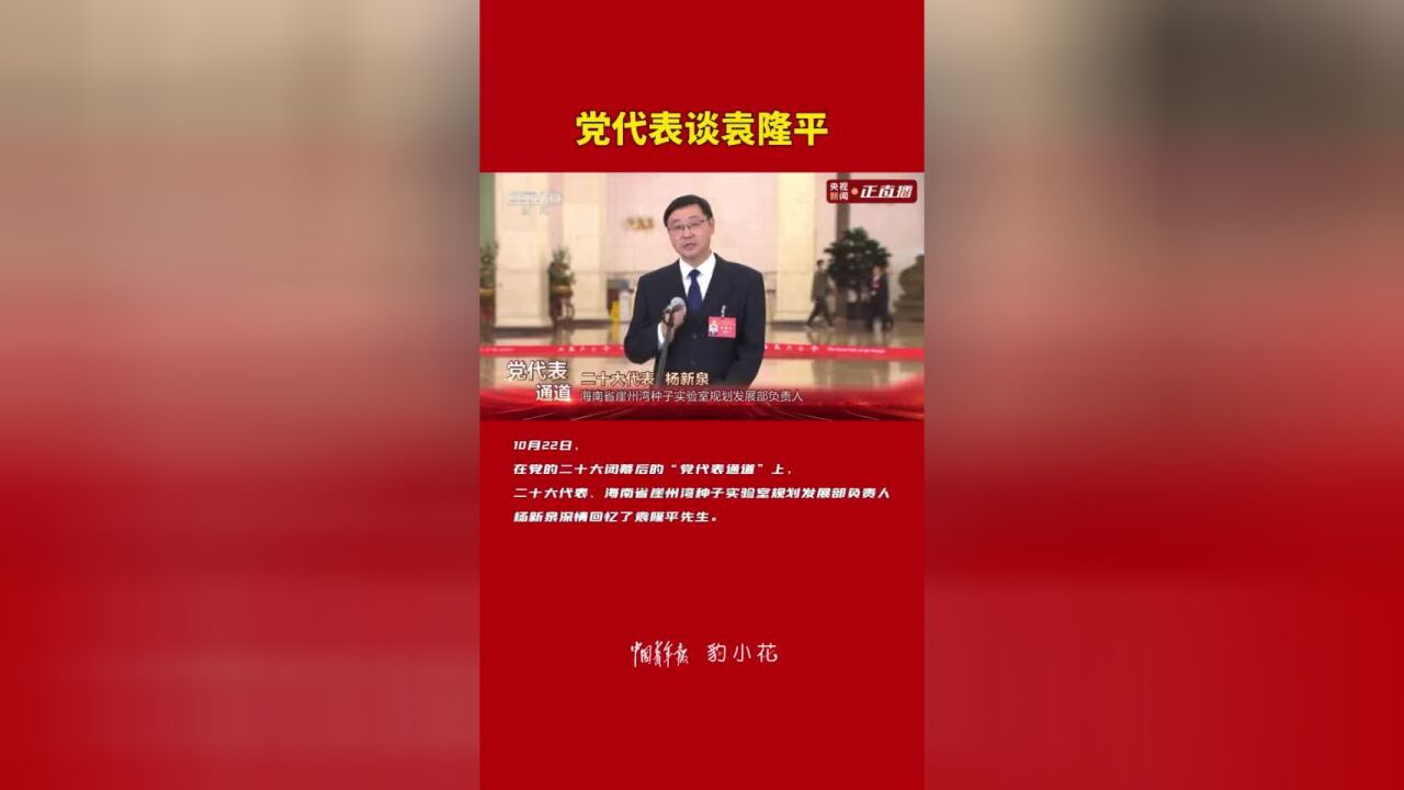 党代表谈袁隆平