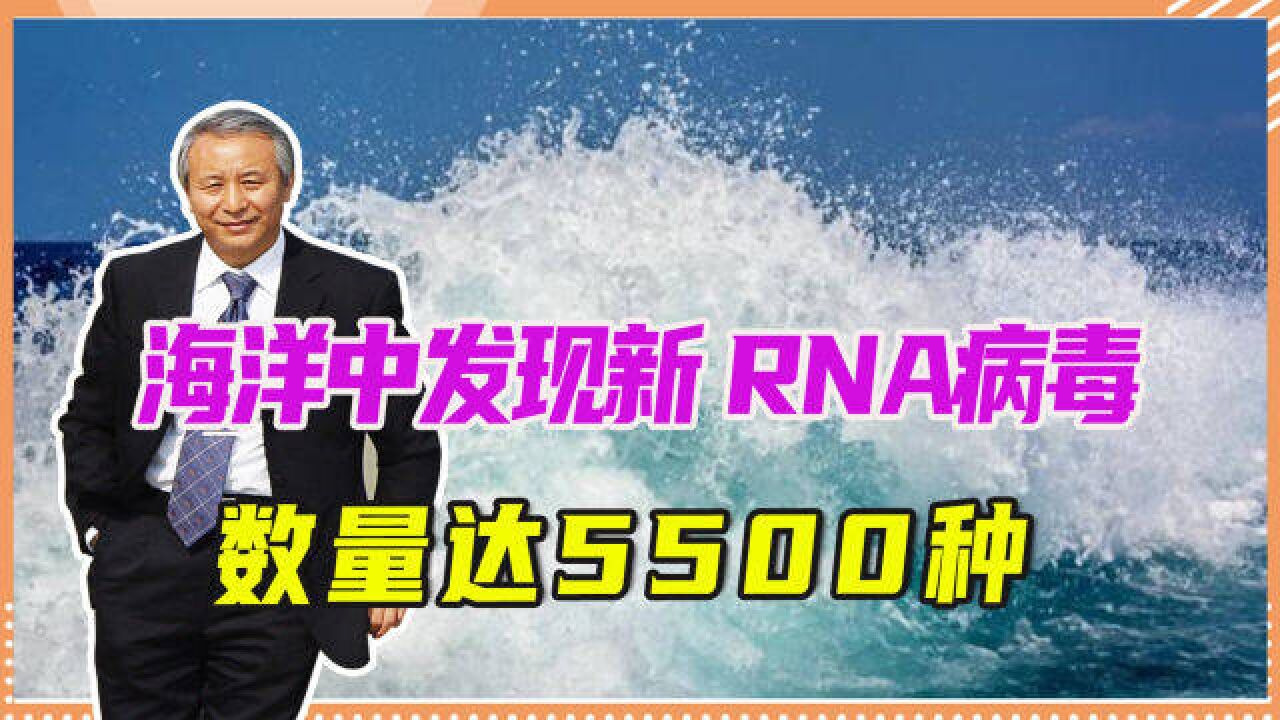 生命起源之谜再添新证?海洋中发现新 RNA病毒,数量达5500种