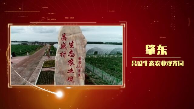 绥化市“网红打卡地”评选结果公布!