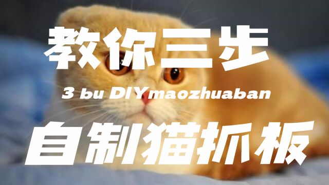 简单三步教你自制猫抓板“主人再也不用担心窗帘开线了”