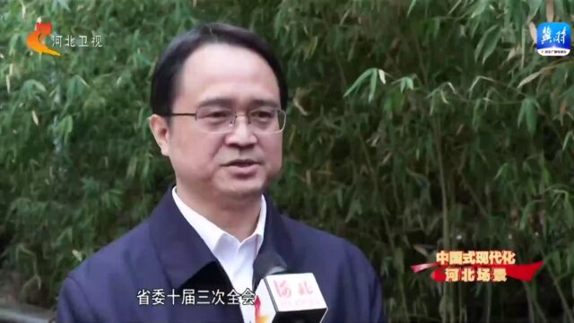 中国式现代化河北场景 | 建设数据驱动、智能融合的数字河北