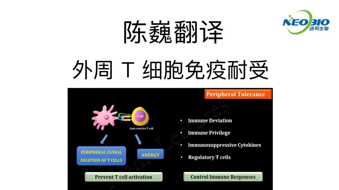 【陈巍翻译】外周T细胞免疫耐受