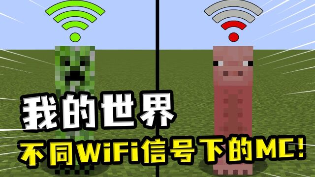 我的世界:不同WiFi信号下的MC,断网之后,游戏贴图变成纯色块