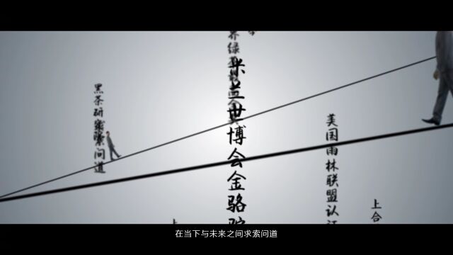 圣谷山二十周年形象片|做百年企业 制中国好茶(导剪版)