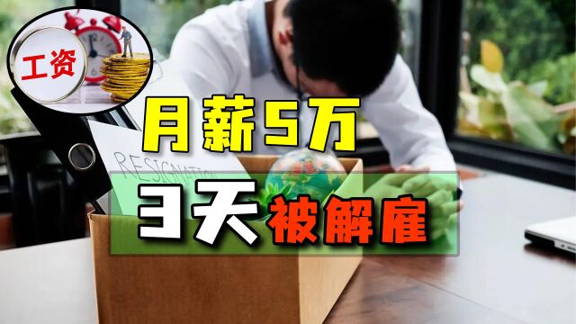 月薪5万请品牌总监,试用3天就要解雇,男子请求继续工作被驳回