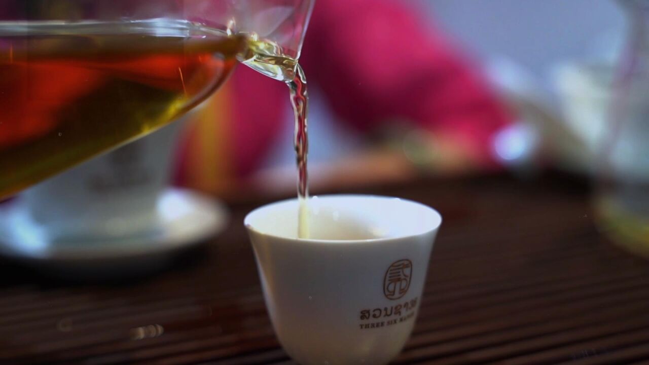 进博透视:千年古树茶,搭上中国高质量发展快车