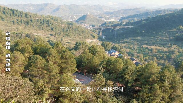 洞穴探险误入燕子洞,惊现万燕归巢,洞穴内发现很多奇异生物