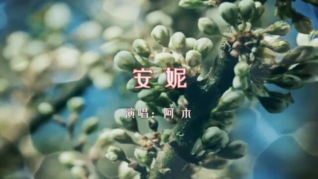 【音乐】阿木《安妮》:有一种爱叫等待,有一种爱叫心痛!