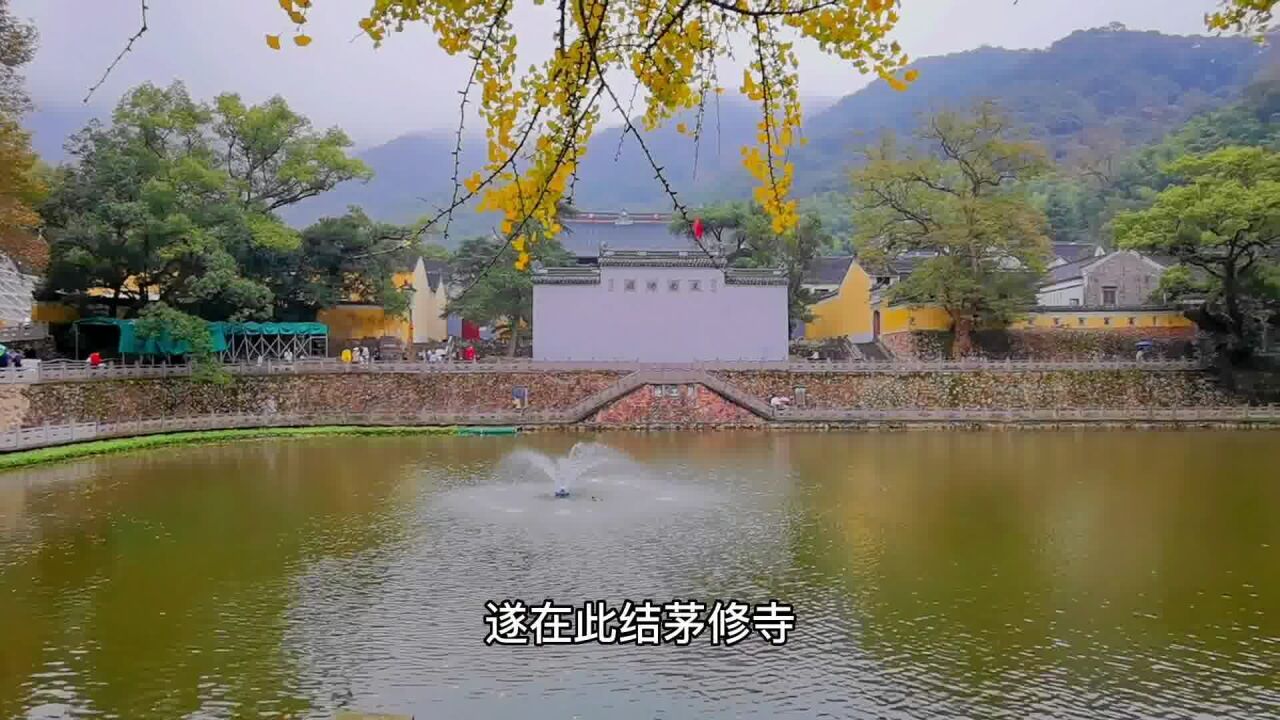 穹窿型的银杏胜景,全国独有,宁波人的赏秋打卡地