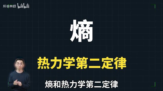 思维扩展:熵与热力学重要模型