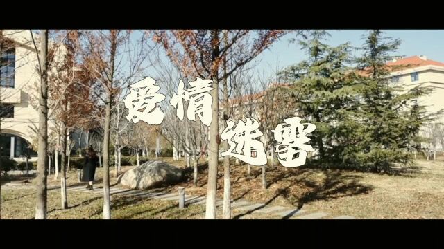 山东大学法学院+天下无贼队+爱情迷雾#山东大学第七届安全短视频评选活动#