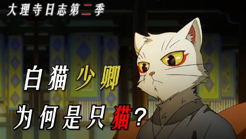 大理寺日志第二季：少卿李饼为何是只猫？他真的是李饼吗？