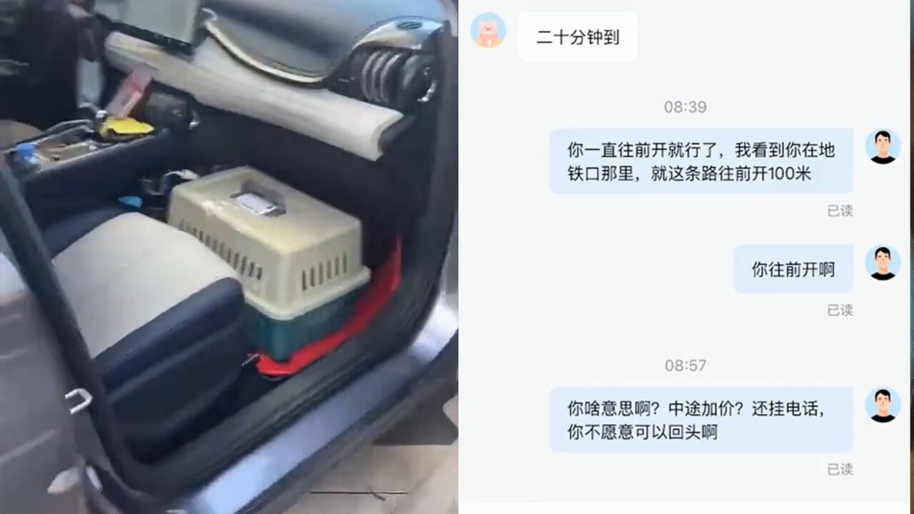 女子叫顺风车送猫,司机中途威胁要加价,客服介入后猫平安送到