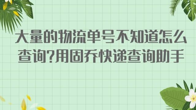 如何批量查询快递单号,快递单号批量查询工具教程