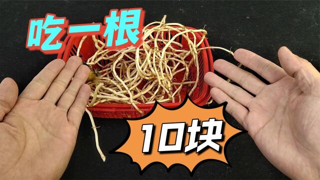 折耳根是什么味道?给你10块,你吃吗?