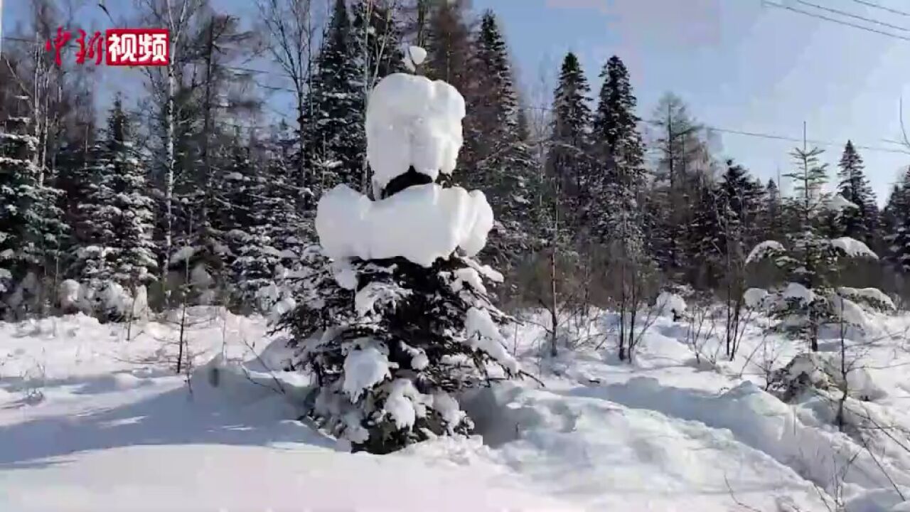 雪后长白山:林海雪原宛如水墨画