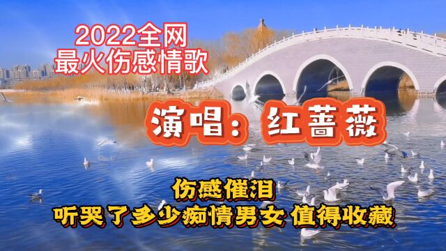 2022全网最火伤感情歌 伤感催泪 听哭了多少痴情男女 值得收藏