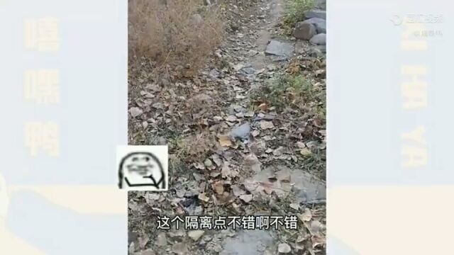 回家了 被安排到这里隔离