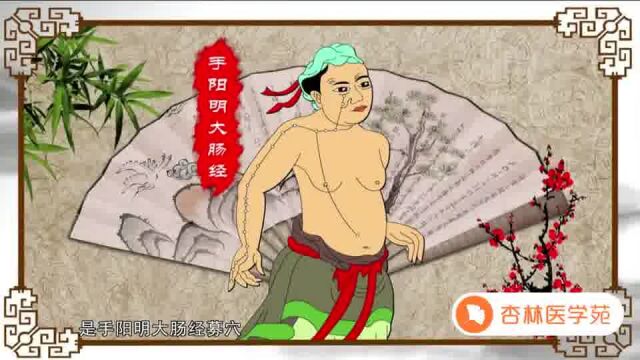 039【胃经】39.天枢穴—通便止泻的特效穴