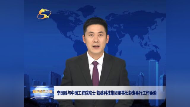 李国胜与中国工程院院士 凯盛科技集团董事长彭寿举行工作会谈