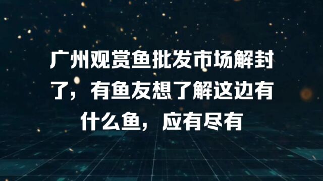 广州观赏鱼批发市场解封了,有鱼友想了解这边有什么鱼,应有尽有