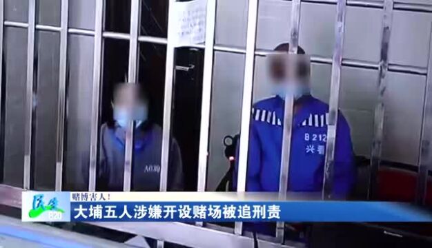 大埔5人涉嫌开设赌场被追刑责