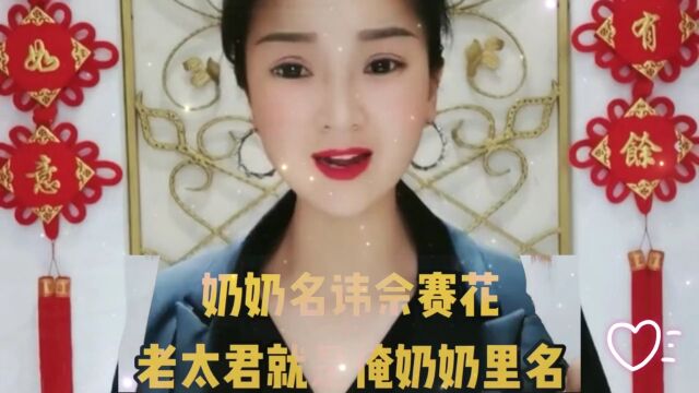 河南坠子《杨宗英》胡中华唱腔