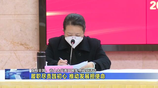 在梅全国、省人大代表开展集中视察活动:履职尽责践初心 推动发展担使命