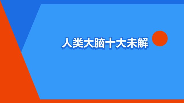 “人类大脑十大未解之谜”是什么意思?