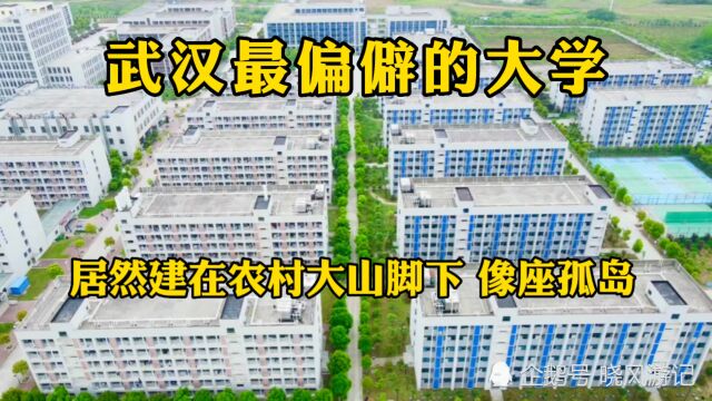 武汉最偏僻的大学!建在农村山脚下,像一座孤坟,太荒凉了