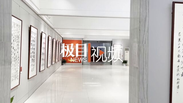 【视频】“奋进新征程 建功先行区”湖北省书法名家作品展开展