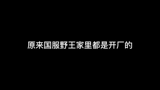 原来国服大佬都是家里开厂的