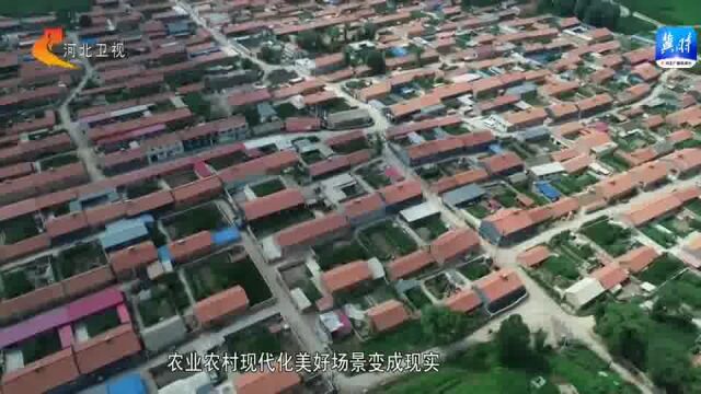 权威发布|河北:全面建设农业强省 全域建设和美乡村