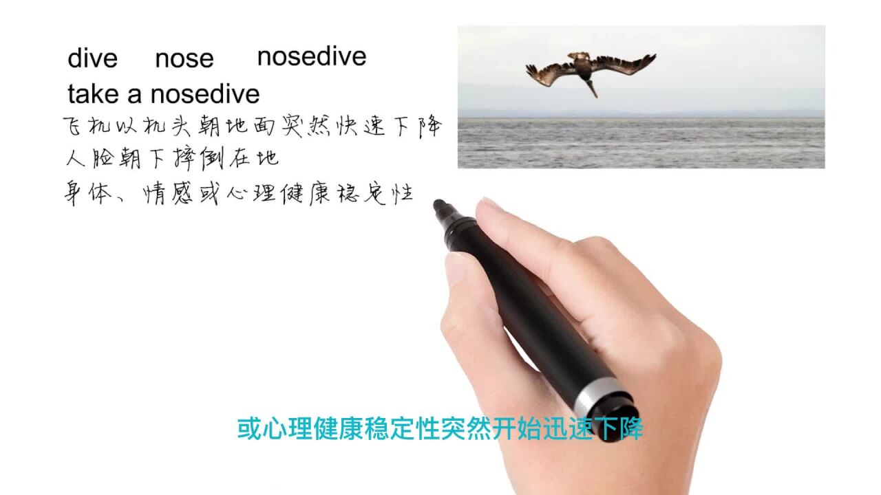 英语思维解密,为什么take a nosedive表示急速下降,轻松学英语