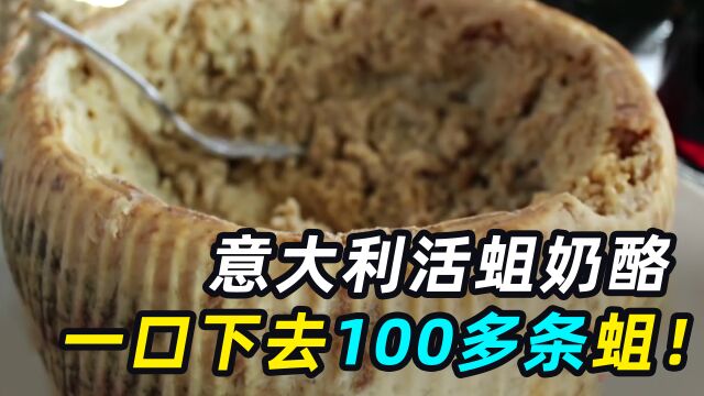 世界上最危险的奶酪,一口下去100多条蛆虫,你敢吃吗?