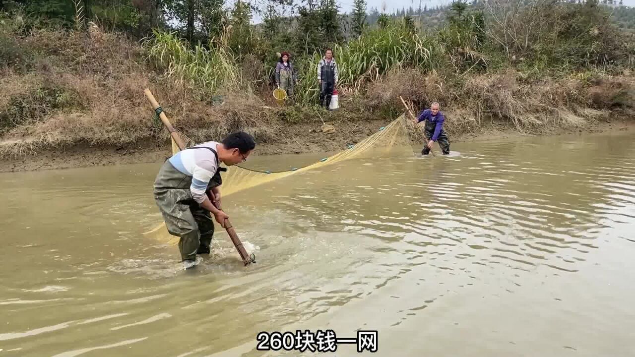 花260元买一次捞网打鱼机会,以为占大便宜了,没想到最后亏大了