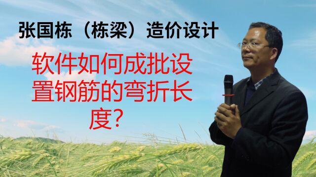 张国栋(栋梁)造价设计:软件如何成批设置钢筋的弯折长度?