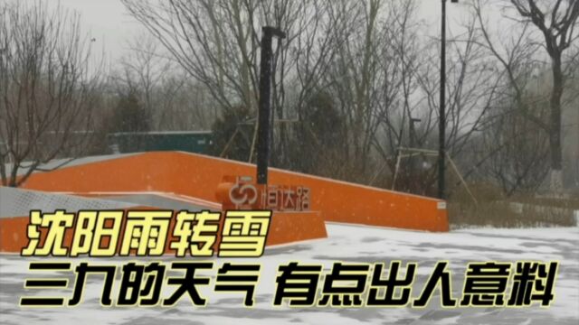 沈阳雨转雪,三九的天气,有点出人意料