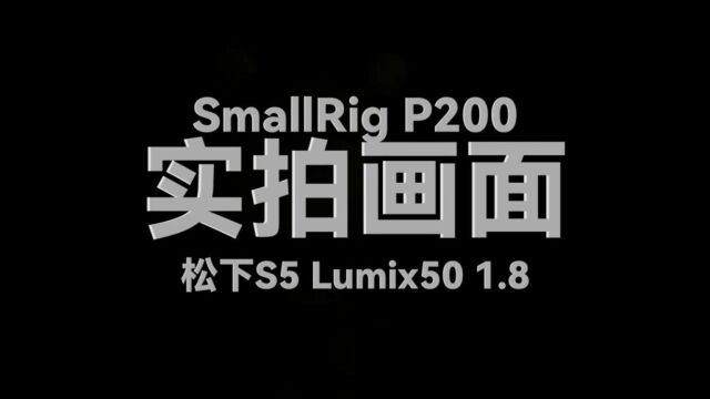 『数智』拍视频一定不能错过的美颜补光灯,SmallRig P200平板灯